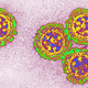 Illustration for article titled China bans mobile game about pandemics, which should fix everything